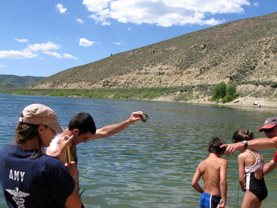 2009 White Family Reunion at Scofield, UT
